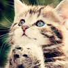 开云电竞APP下载入口｜稳定流畅体验